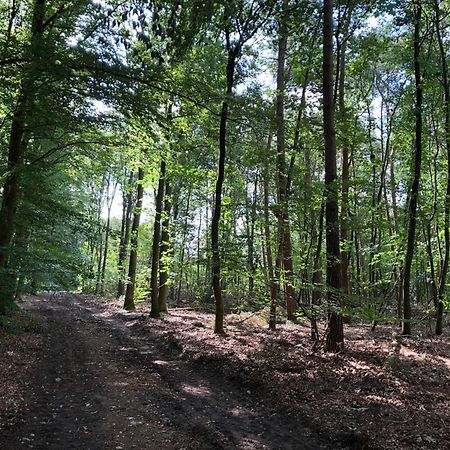 Huisjes Putten Reewold Chalet In Rustige En Mooie Omgeving エクステリア 写真