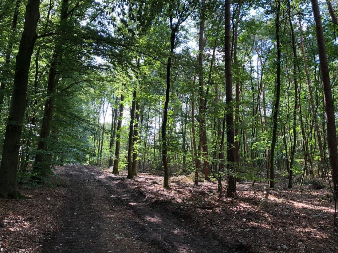 Huisjes Putten Reewold Chalet In Rustige En Mooie Omgeving エクステリア 写真